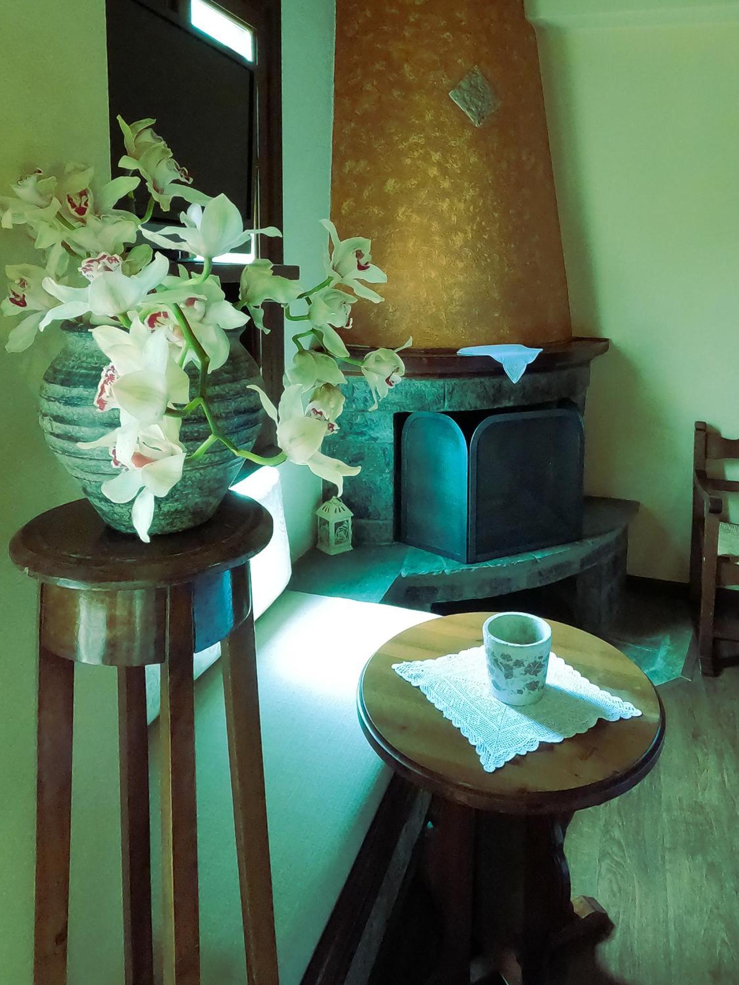 Amalthia Traditional Guesthouse Tsagarada Rum bild
